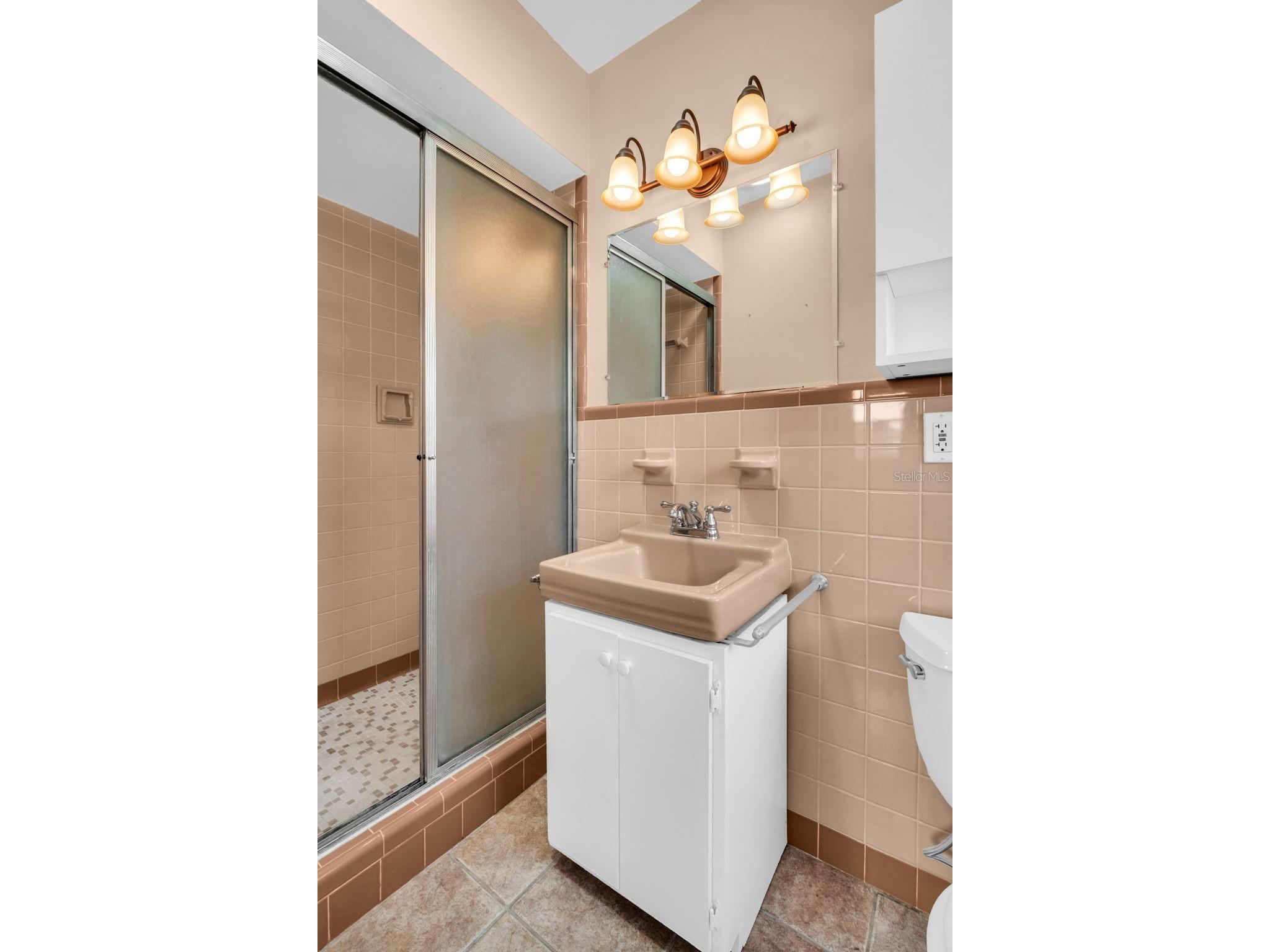 1935 Jeffords Street Clearwater FL 33764 TB8506048 image27