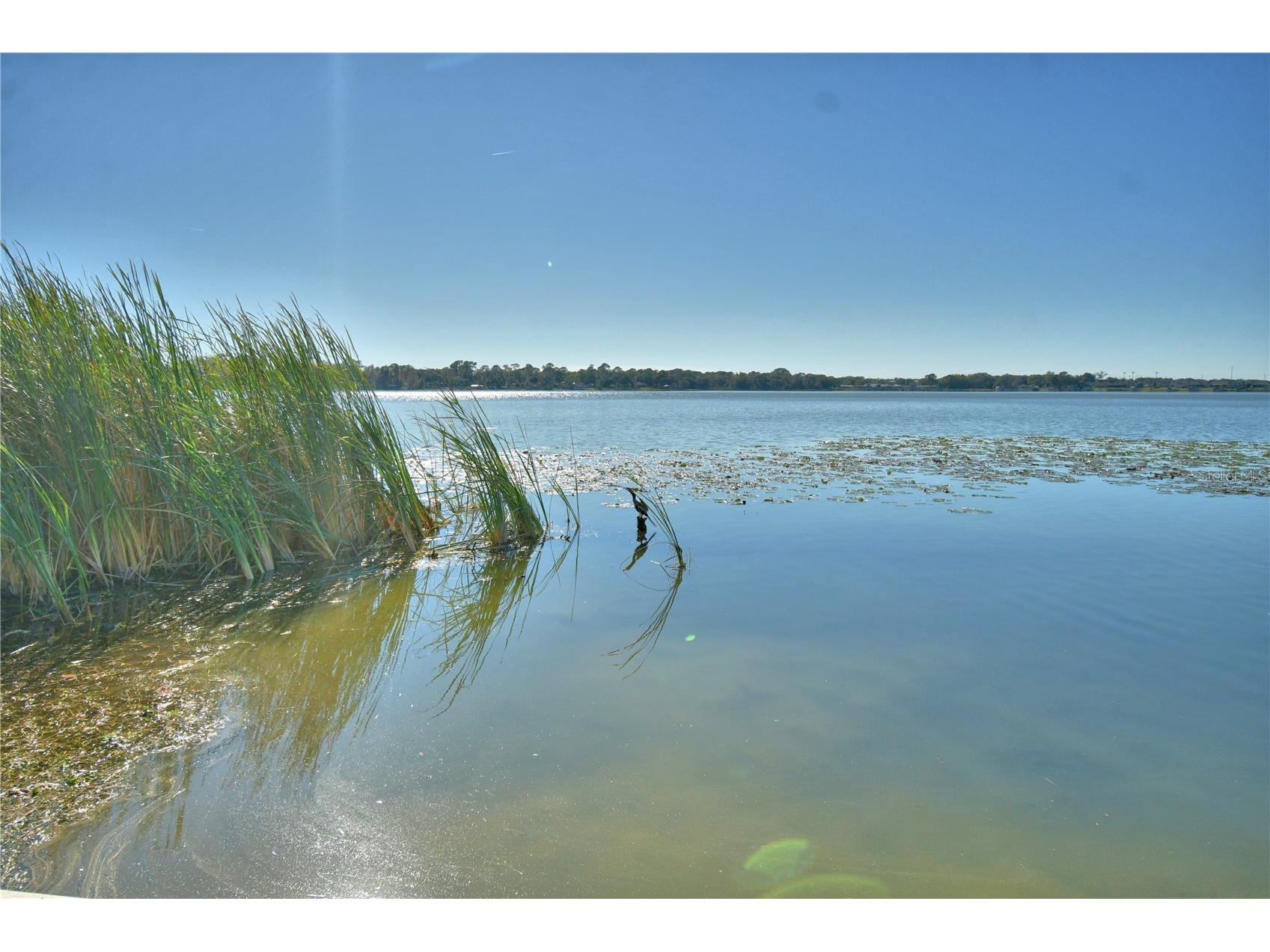 1935 Regina Drive Lake Alfred FL 33850 - MARIANA P4937513 image54