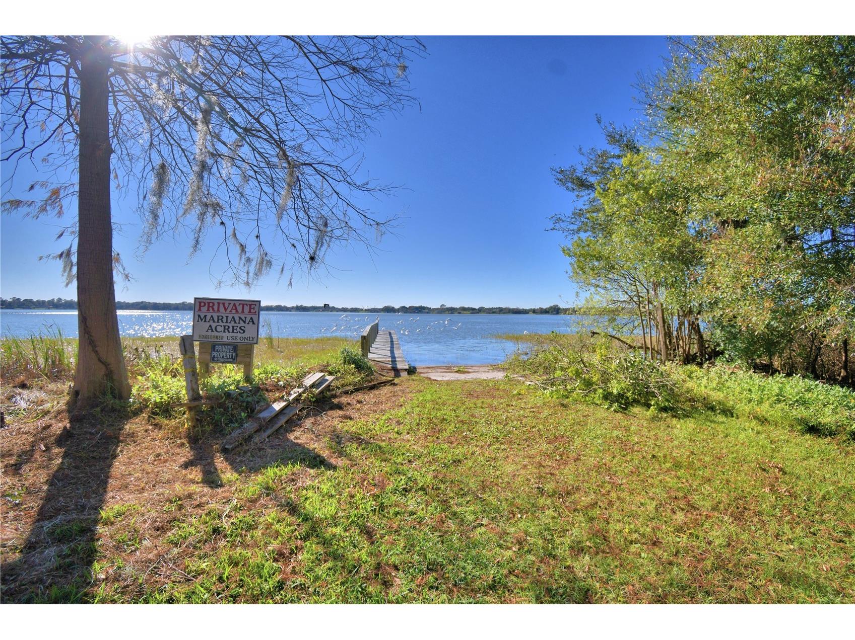 1935 Regina Drive Lake Alfred FL 33850 - MARIANA P4937513 image60