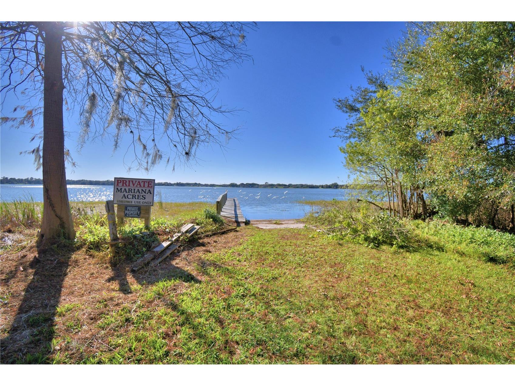 1935 Regina Drive Lake Alfred FL 33850 - MARIANA P4937513 image61