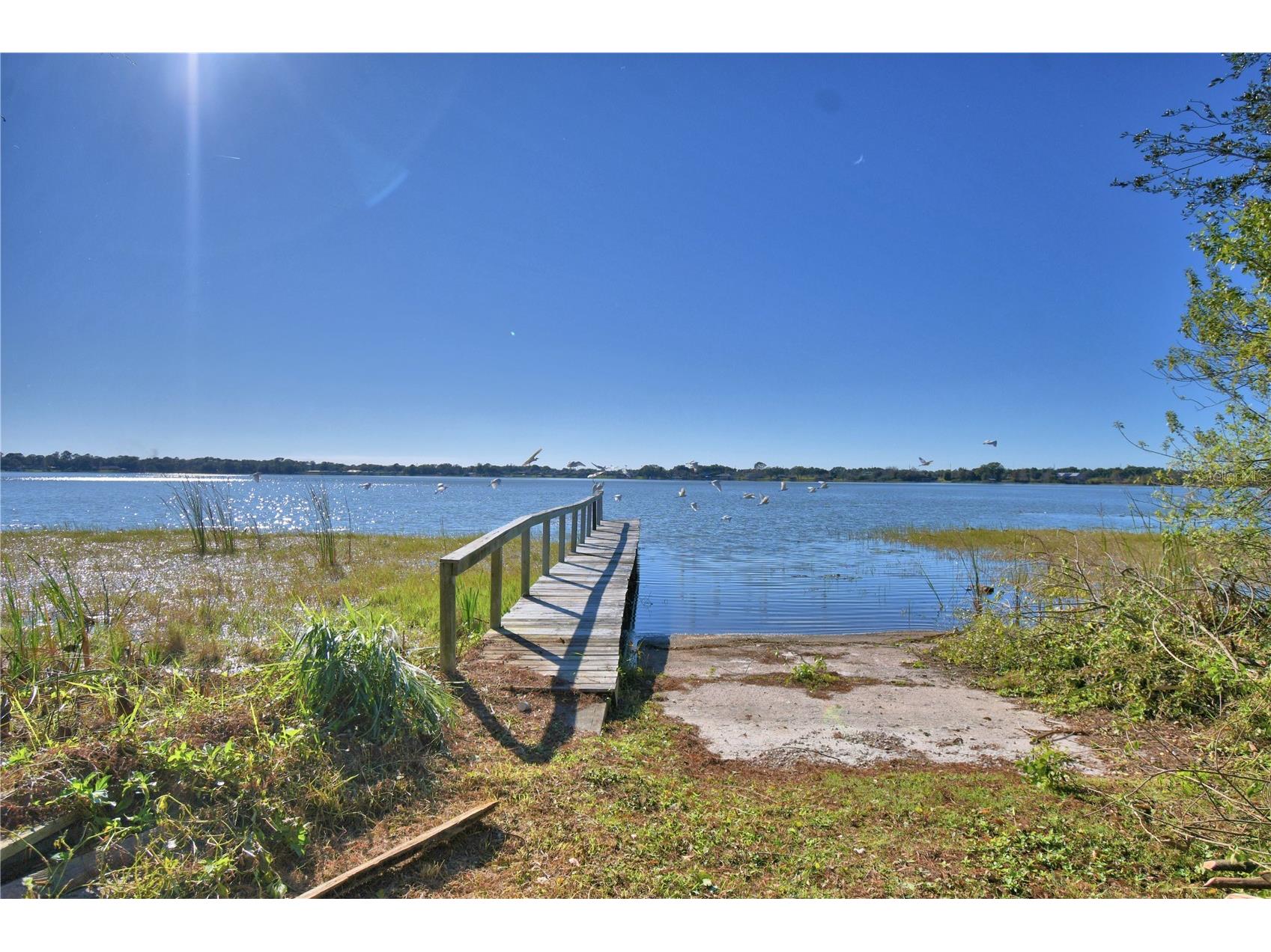1935 Regina Drive Lake Alfred FL 33850 - MARIANA P4937513 image63