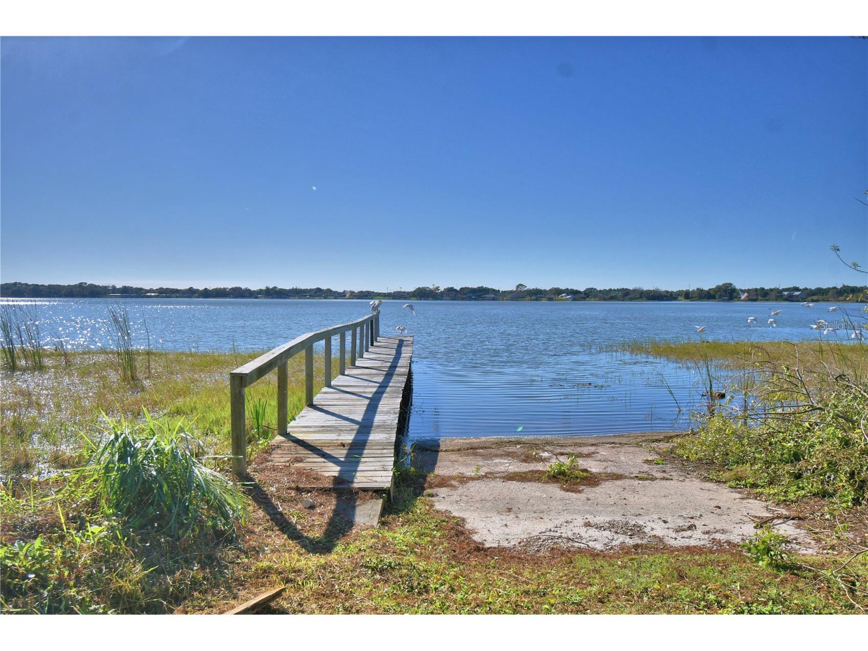 1935 Regina Drive Lake Alfred FL 33850 - MARIANA P4937513 image64