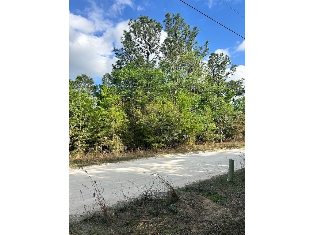 1935 SW 150th Court Ocala FL 34481 OM674790 image1
