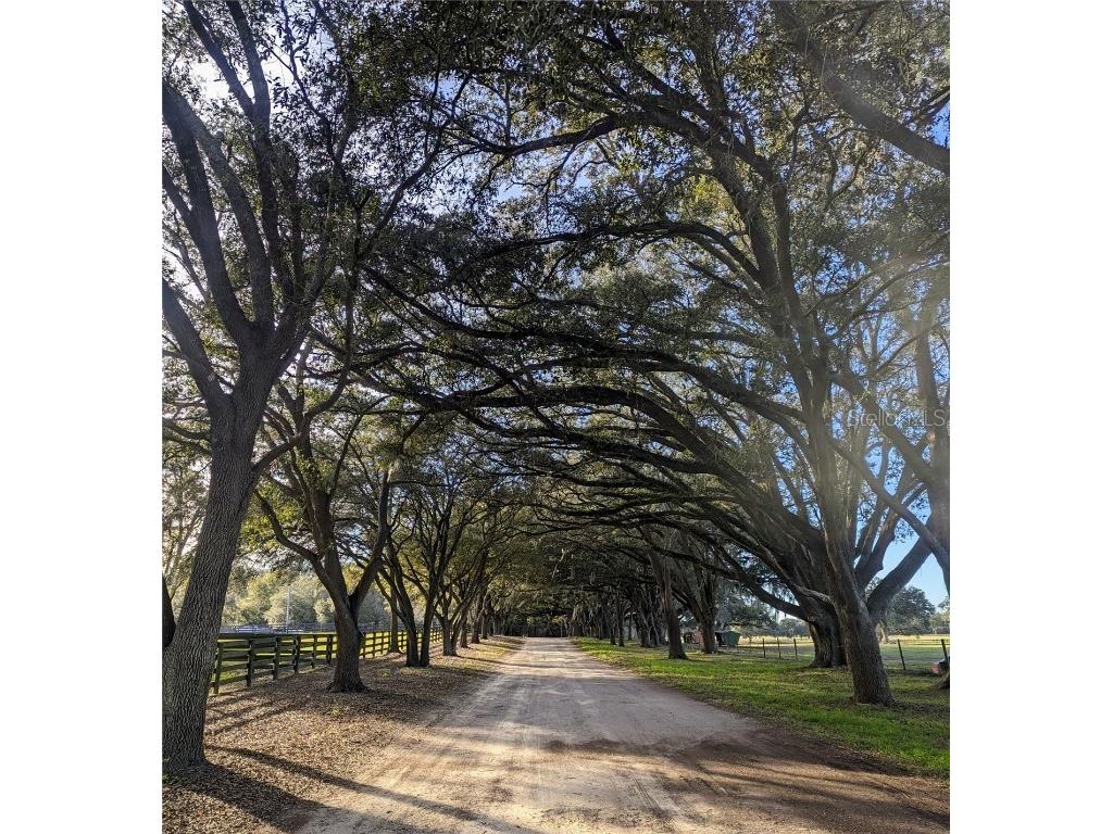 19350 SE 52nd Place Morriston FL 32668 OM669201 image1