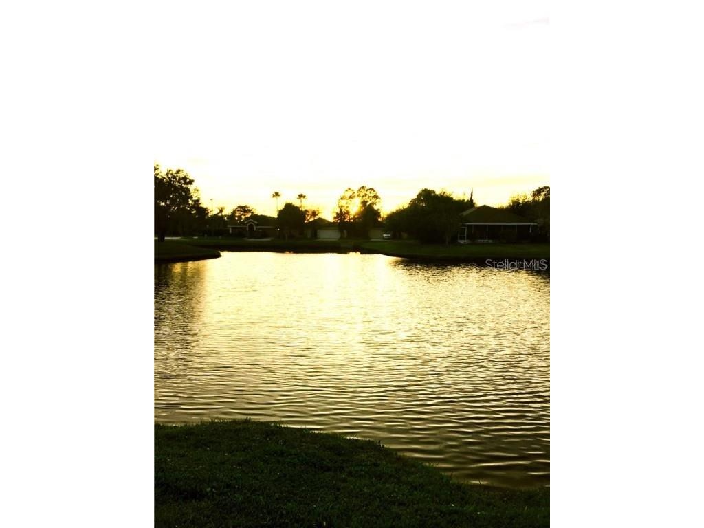 19351 Garden Quilt Circle Lutz FL 33558 J977344 image1