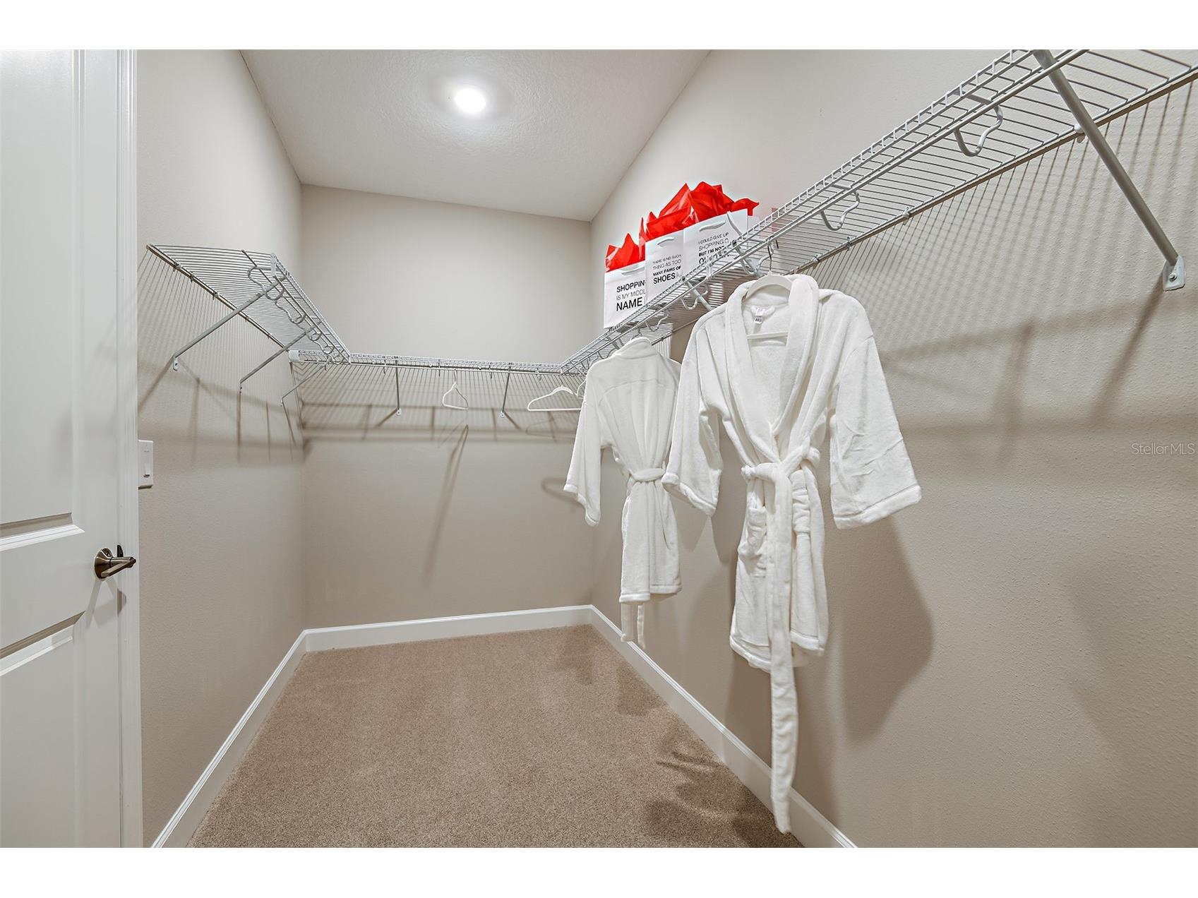19354 Lochside Lane Mount Dora FL 32757 O6382162 image11