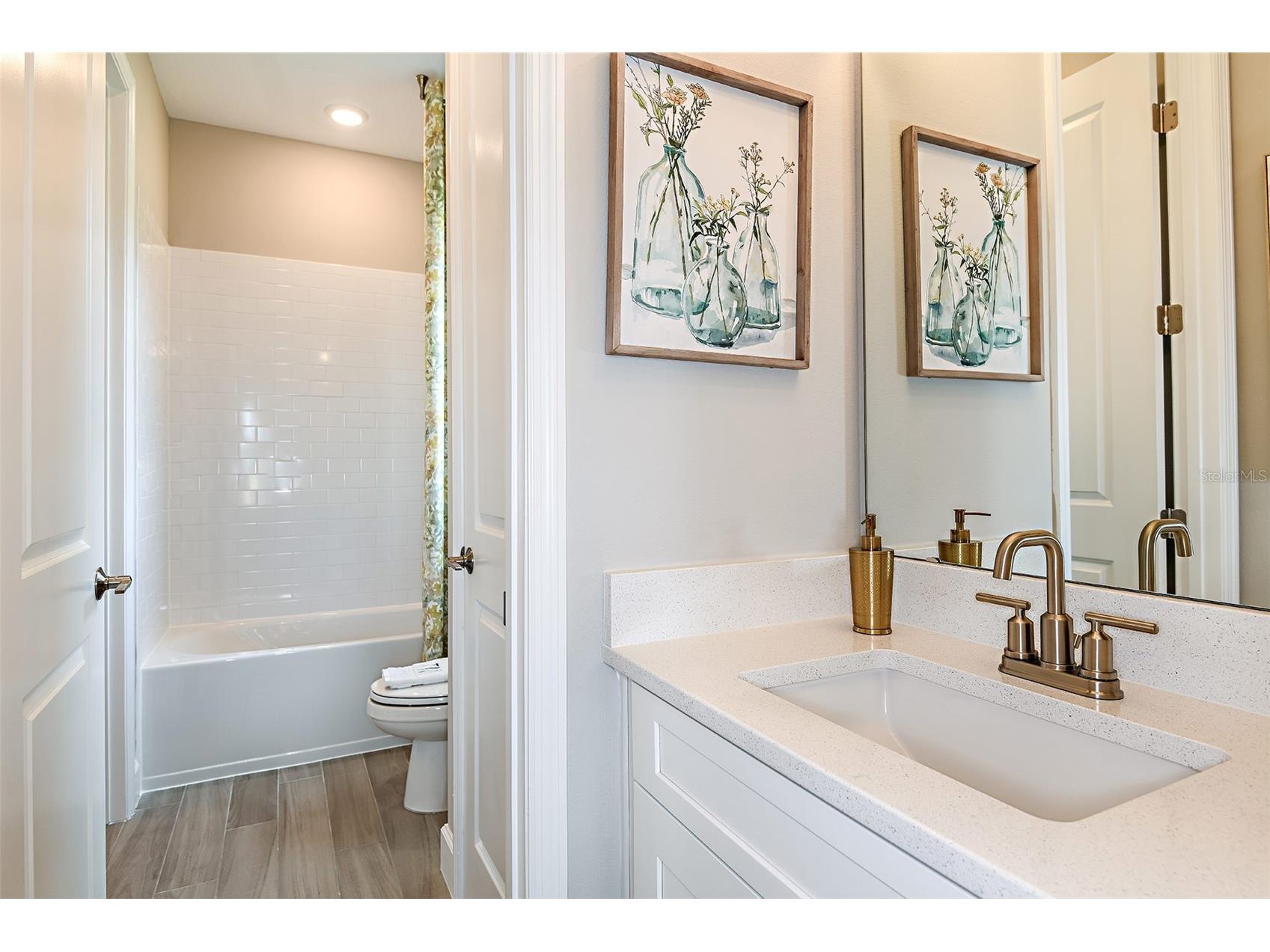 19354 Lochside Lane Mount Dora FL 32757 O6382162 image25