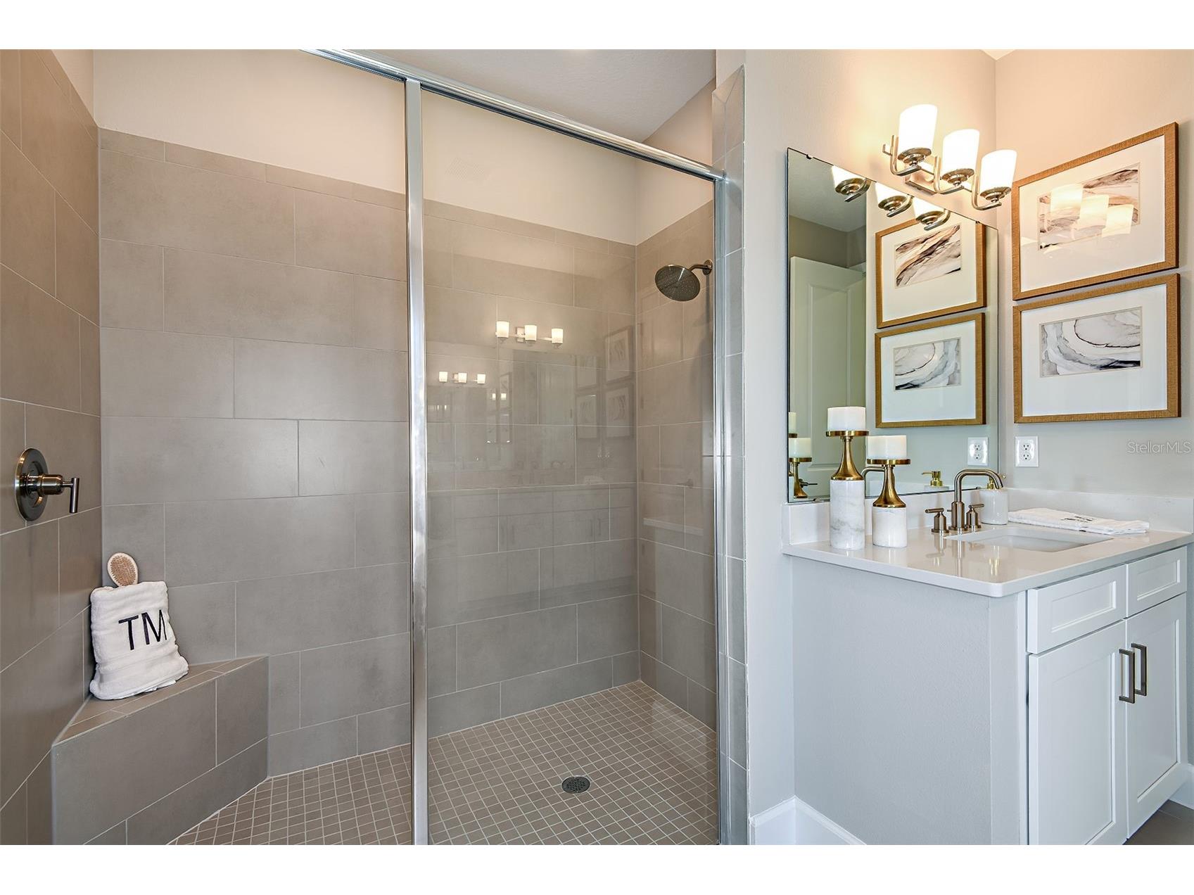 19354 Lochside Lane Mount Dora FL 32757 O6382162 image9