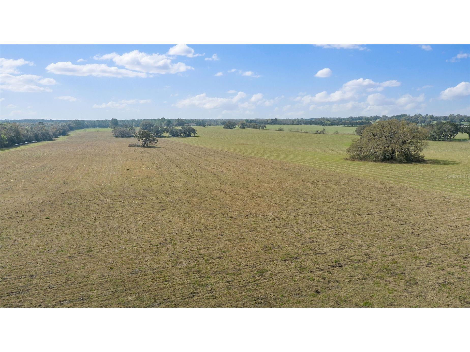 19355 SW 25th Place Dunnellon FL 34431 OM710523 image20