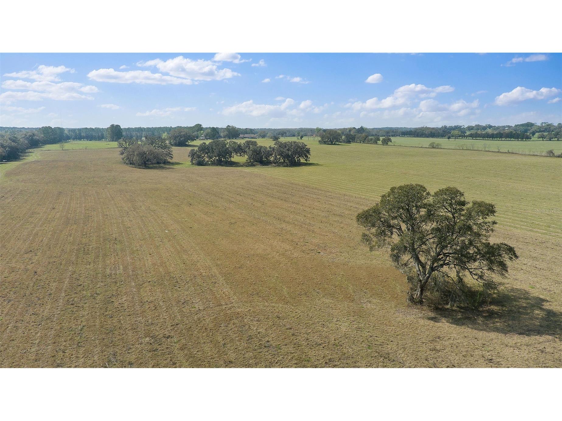 19355 SW 25th Place Dunnellon FL 34431 OM710523 image21