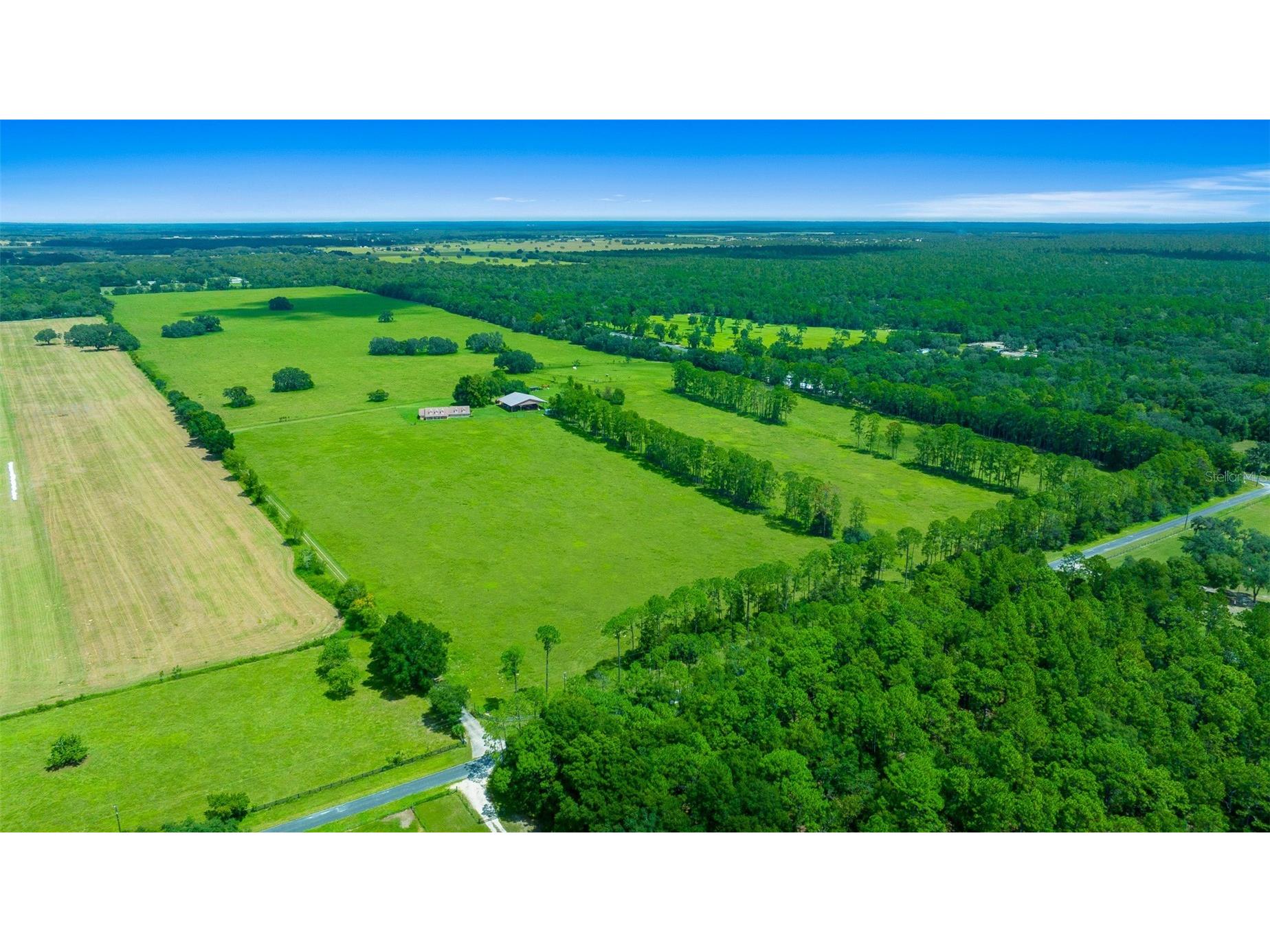 19355 SW 25th Place Dunnellon FL 34431 OM710523 image3