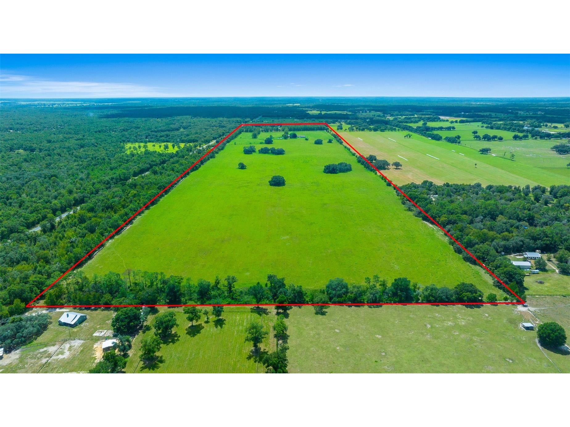 19355 SW 25th Place Dunnellon FL 34431 OM710523 image5