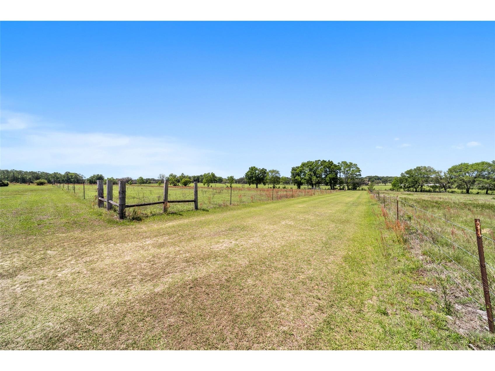 19355 SW 25th Place Dunnellon FL 34431 OM721183 image12