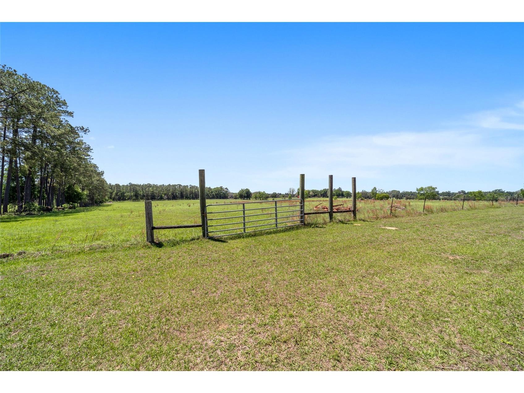 19355 SW 25th Place Dunnellon FL 34431 OM721183 image13