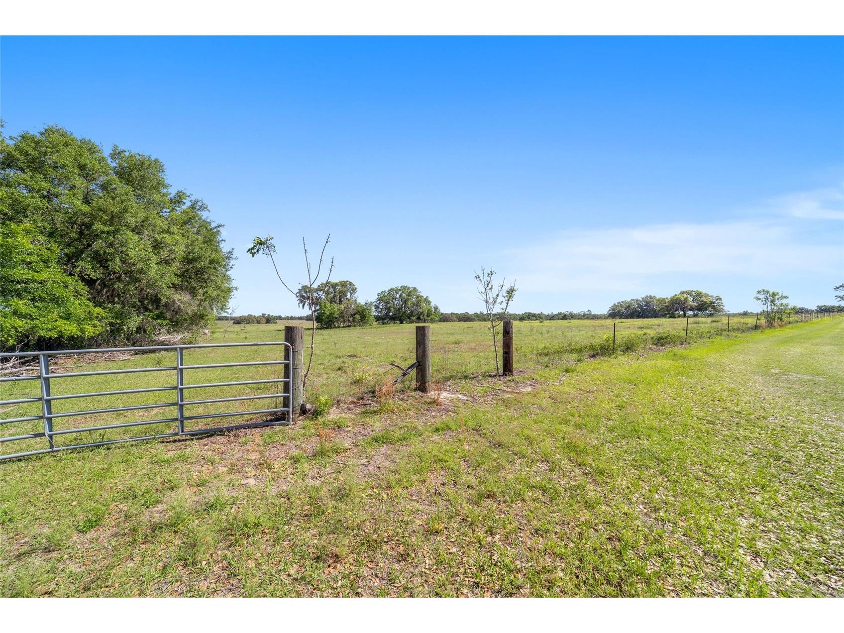 19355 SW 25th Place Dunnellon FL 34431 OM721183 image15