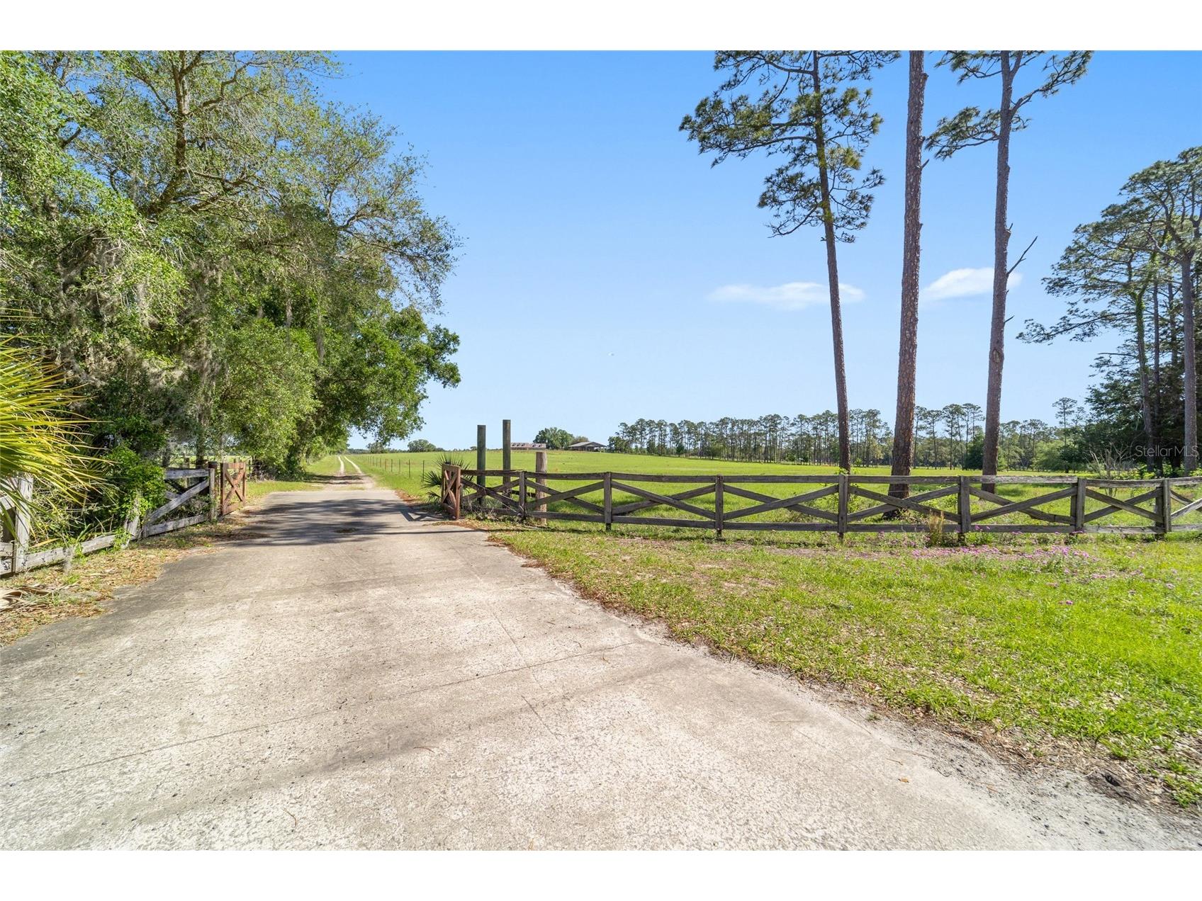 19355 SW 25th Place Dunnellon FL 34431 OM721183 image34