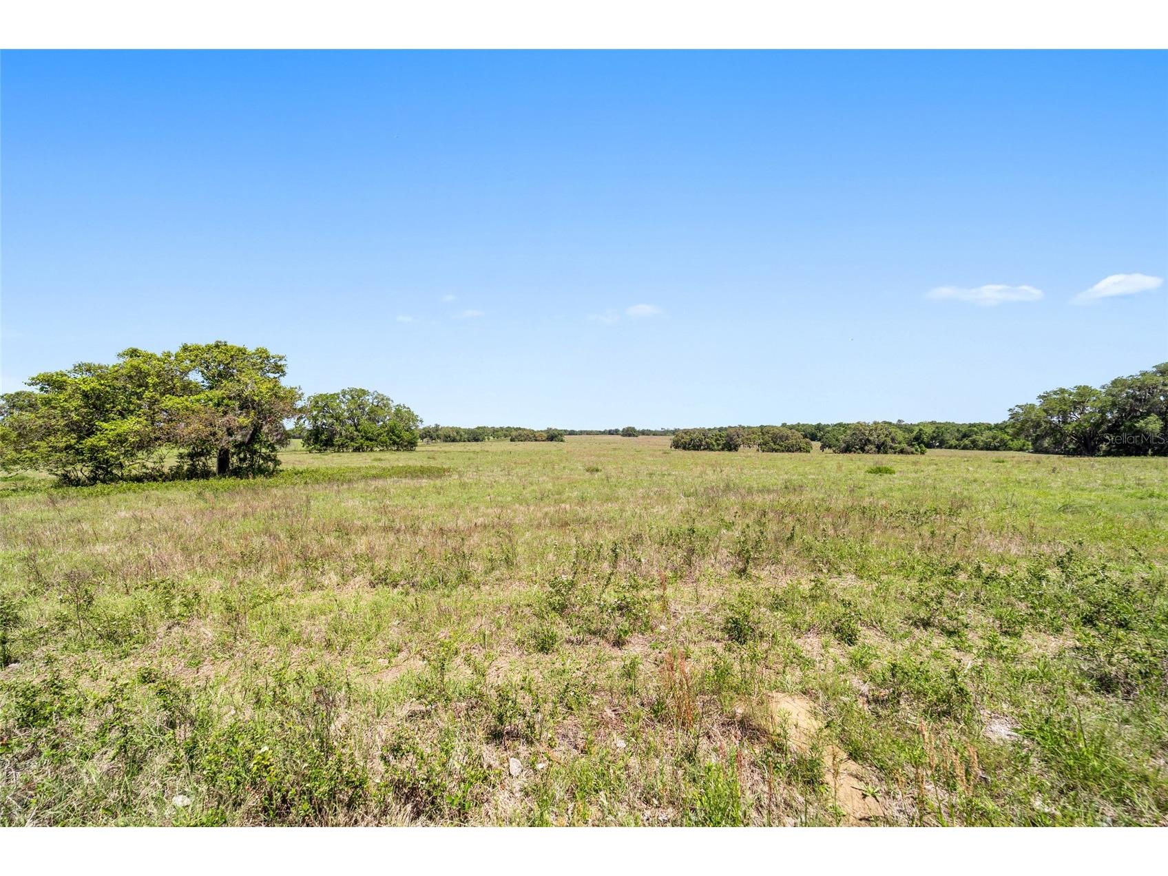 19355 SW 25th Place Dunnellon FL 34431 OM721183 image37