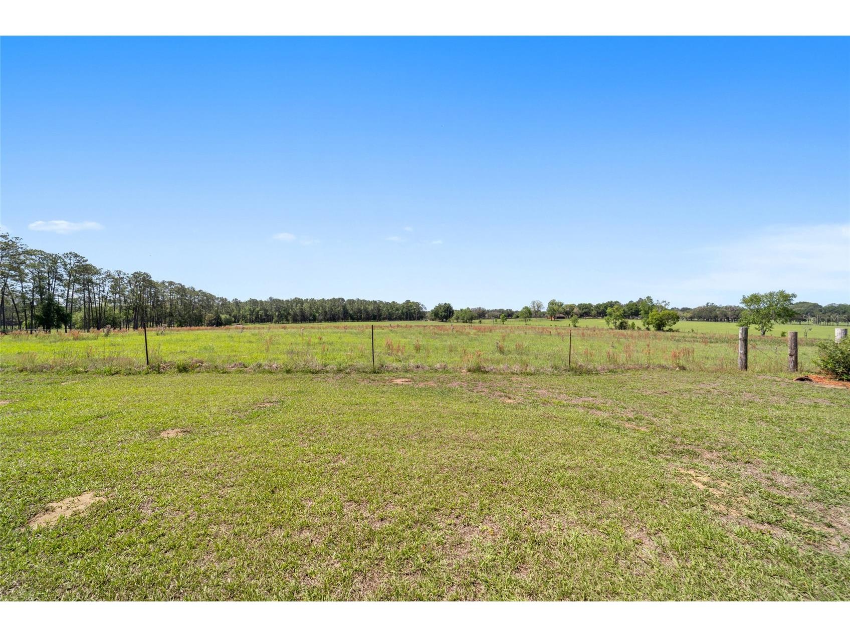 19355 SW 25th Place Dunnellon FL 34431 OM721183 image40