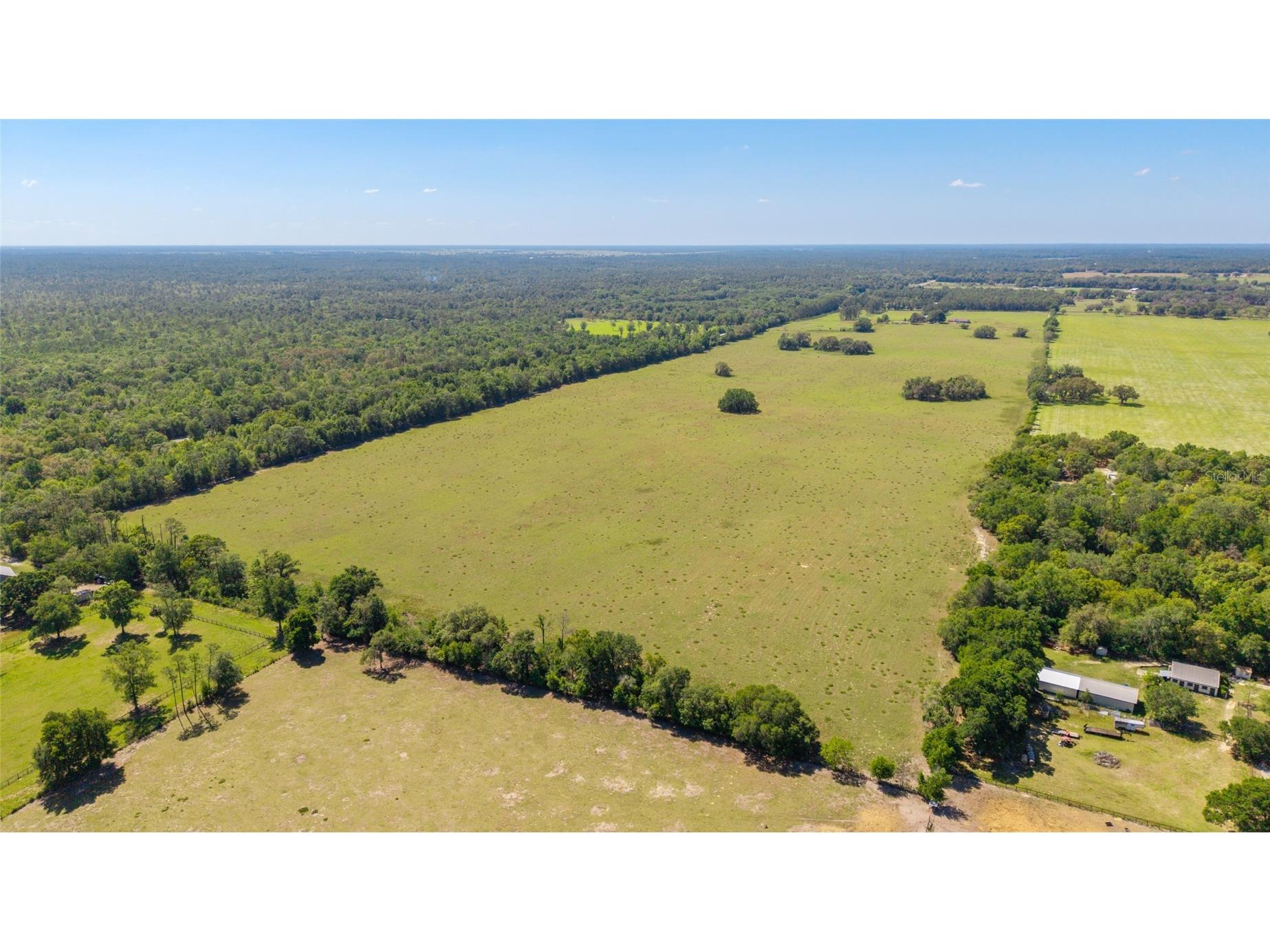 19355 SW 25th Place Dunnellon FL 34431 OM721183 image8