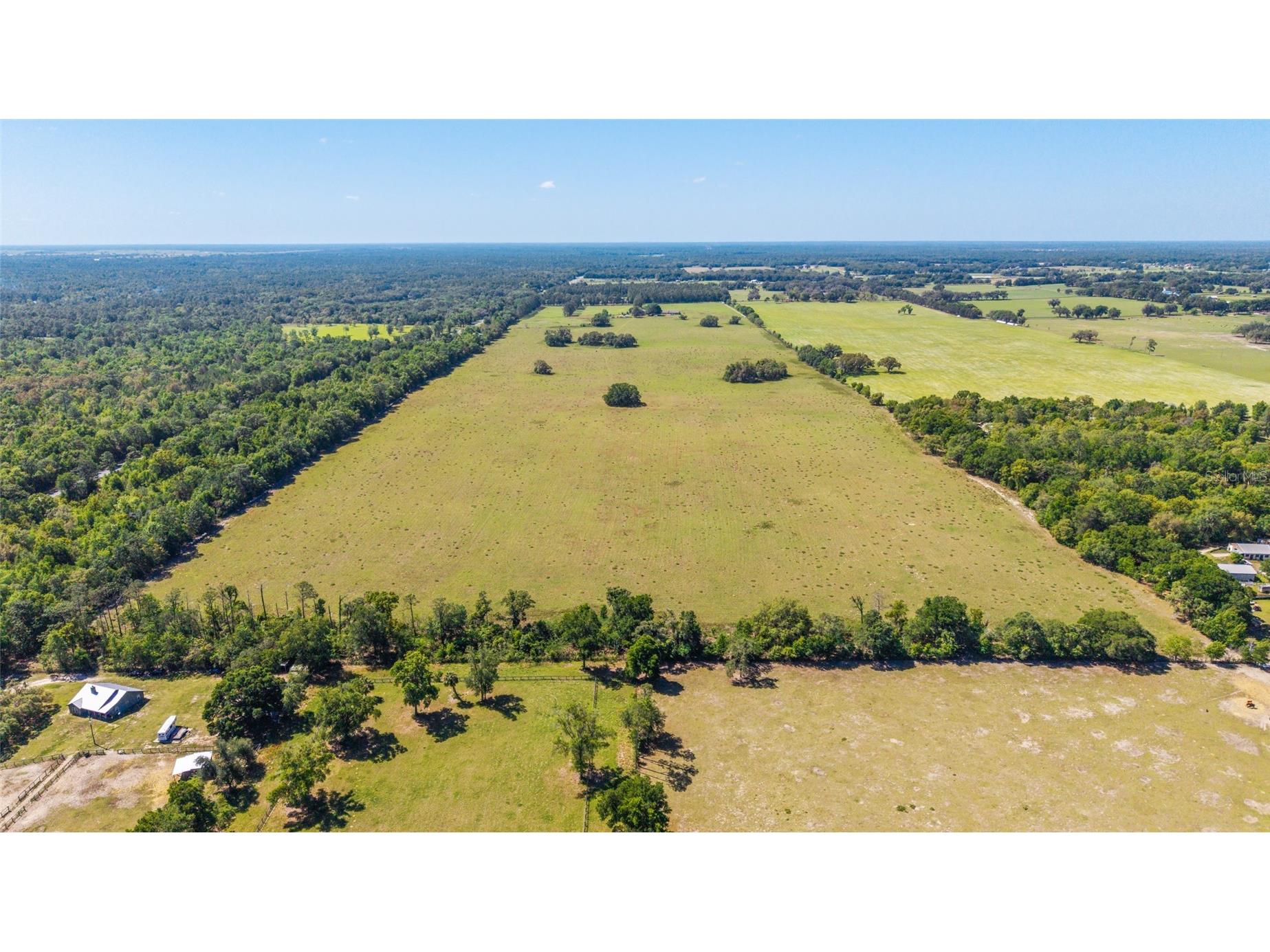 19355 SW 25th Place Dunnellon FL 34431 OM721183 image9