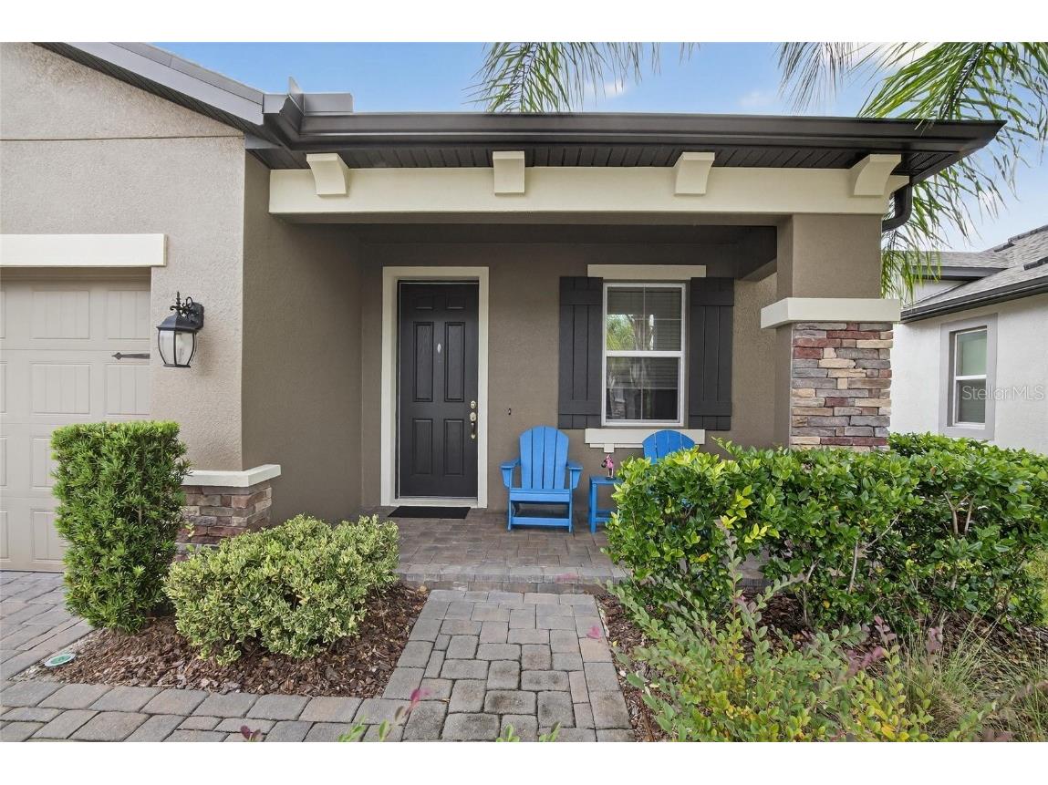 19356 Hawk Valley Drive Tampa FL 33647 TB8436498 image1