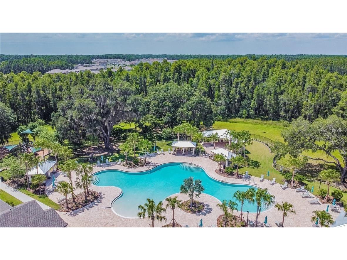 19356 Hawk Valley Drive Tampa FL 33647 TB8436498 image23
