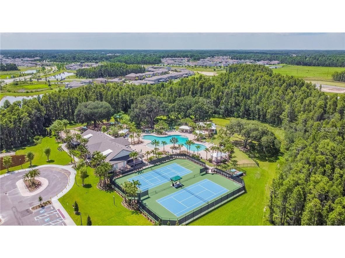 19356 Hawk Valley Drive Tampa FL 33647 TB8436498 image24