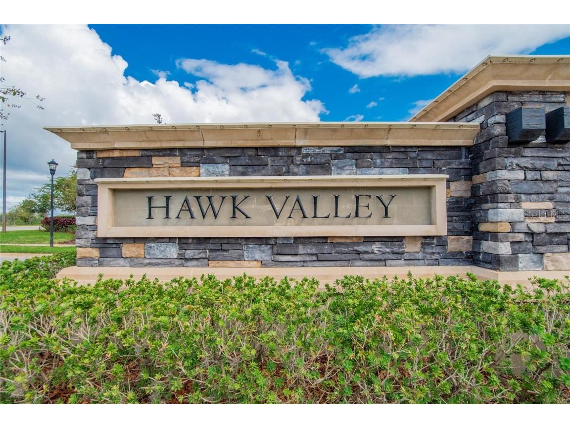 19356 Hawk Valley Drive Tampa FL 33647 TB8436498 image25
