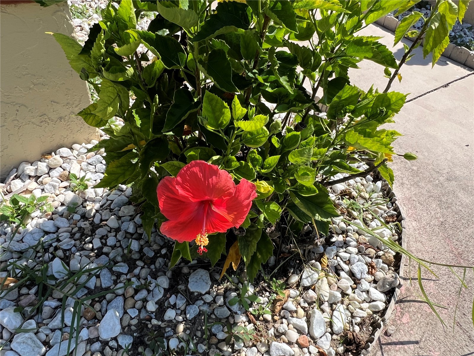 19358 Edgewater Drive Port Charlotte FL 33948 A4681818 image3