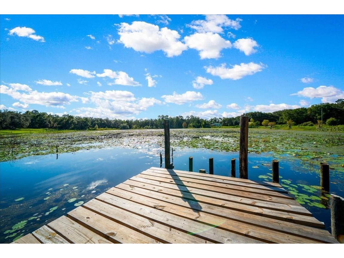 19358 SE 95th Place Ocklawaha FL 32179 OM709050 image1