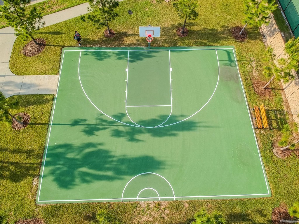 1936 Milkweed Trace Lutz FL 33558 TB8434316 image24