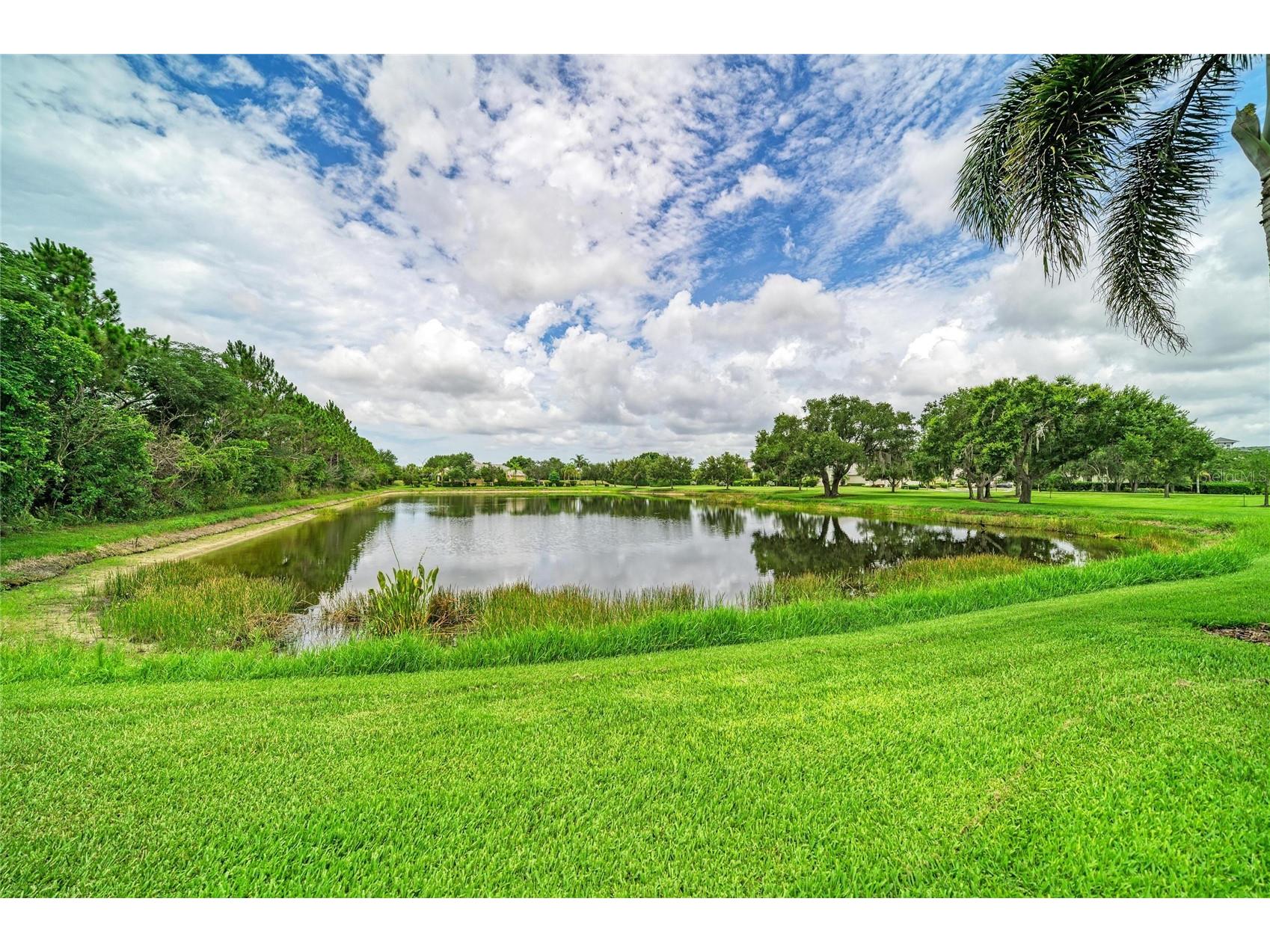 1936 Orange Lake Cove Bradenton FL 34211 A4692464 image37