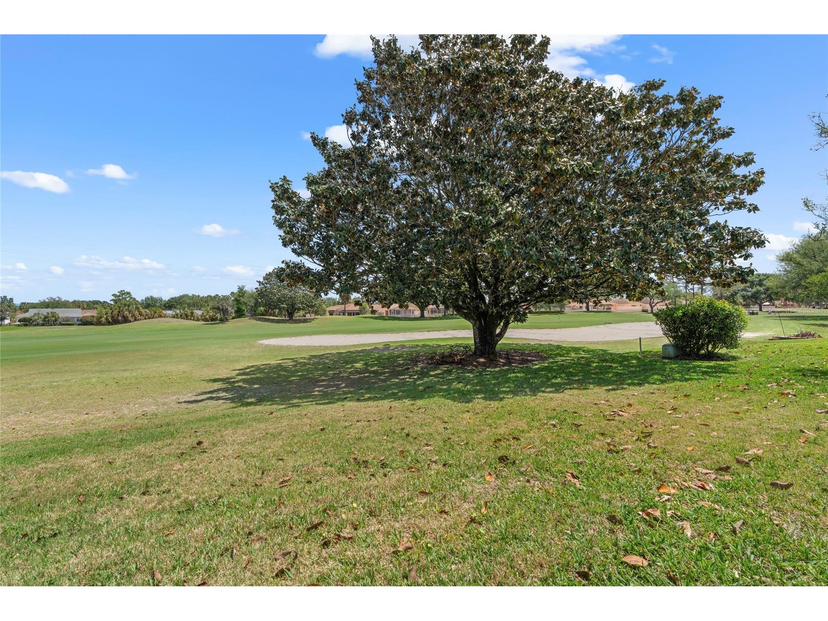 1936 Palo Alto Avenue The Villages FL 32159 OM723138 image37