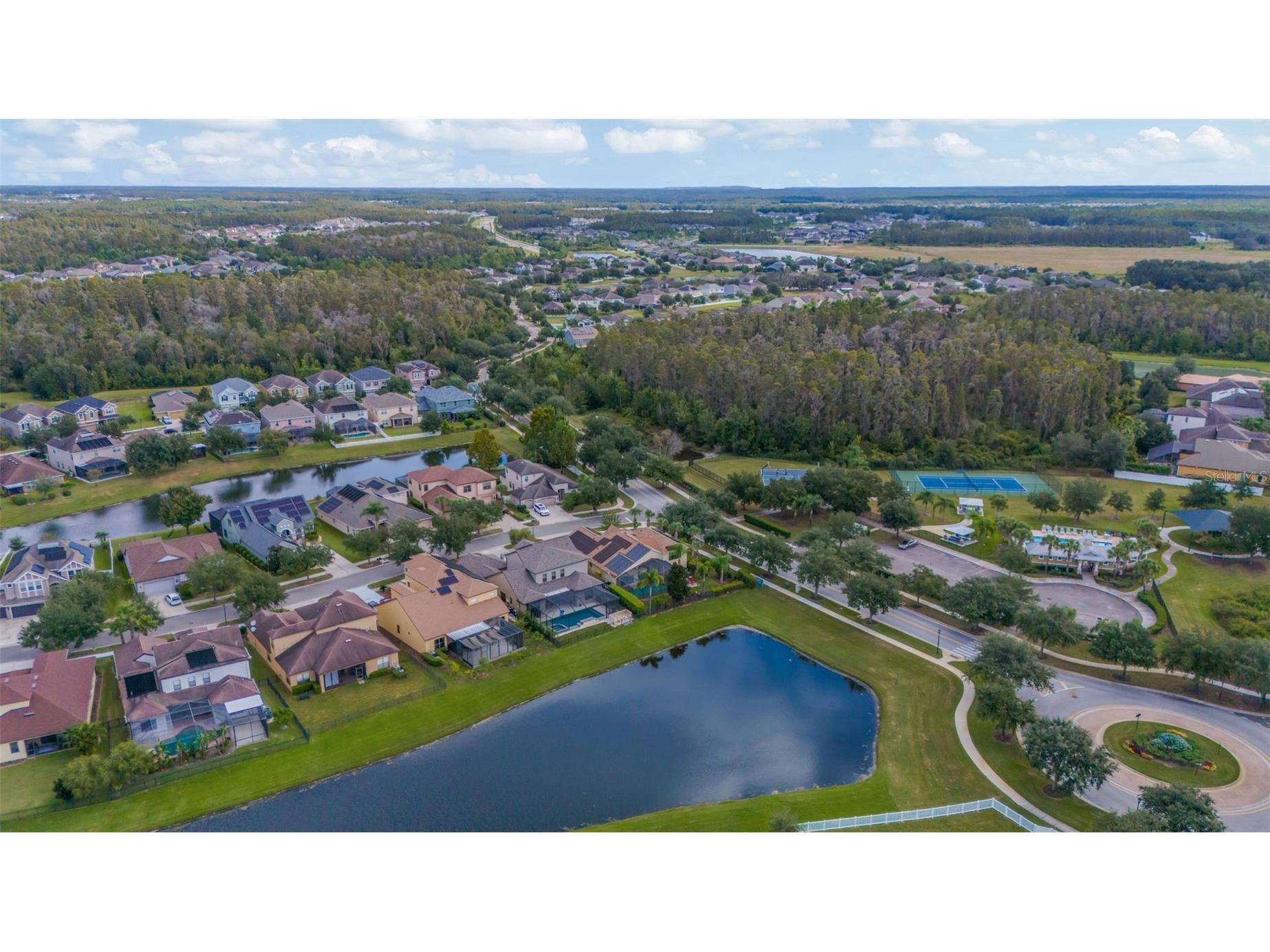 19361 Yellow Clover Drive Tampa FL 33647 TB8440224 image56