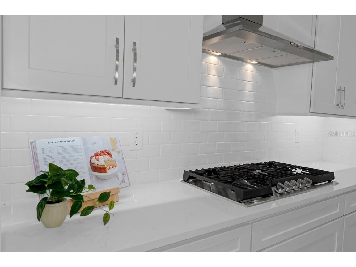 19364 Sheltered Hill Drive Brooksville FL 34601 W7869498 image8