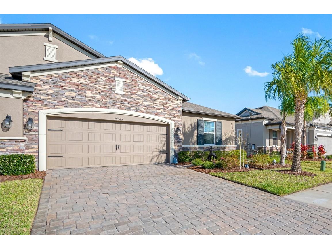 19365 Hawk Valley Drive Tampa FL 33647 T3429515 image1