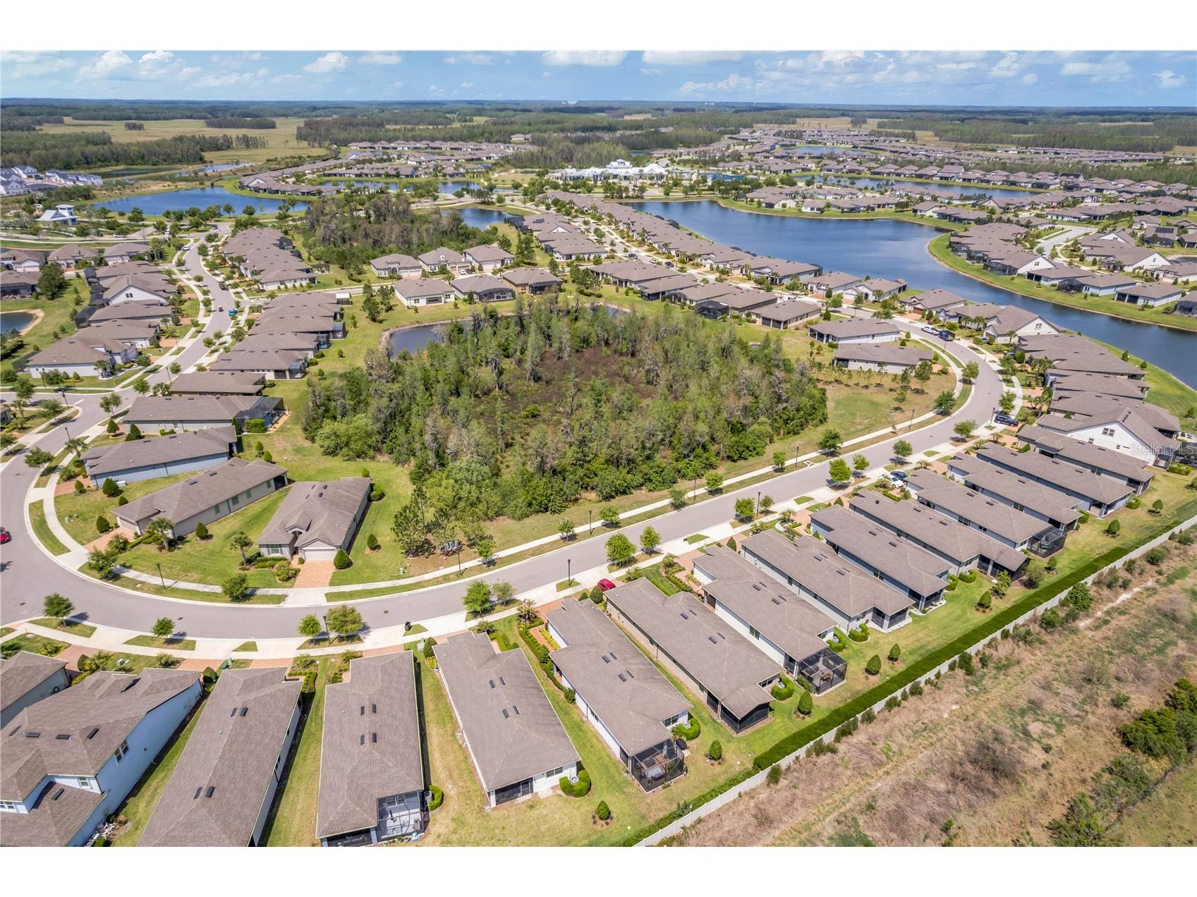 19367 Coastal Shore Terrace Land O Lakes FL 34638 TB8491769 image21