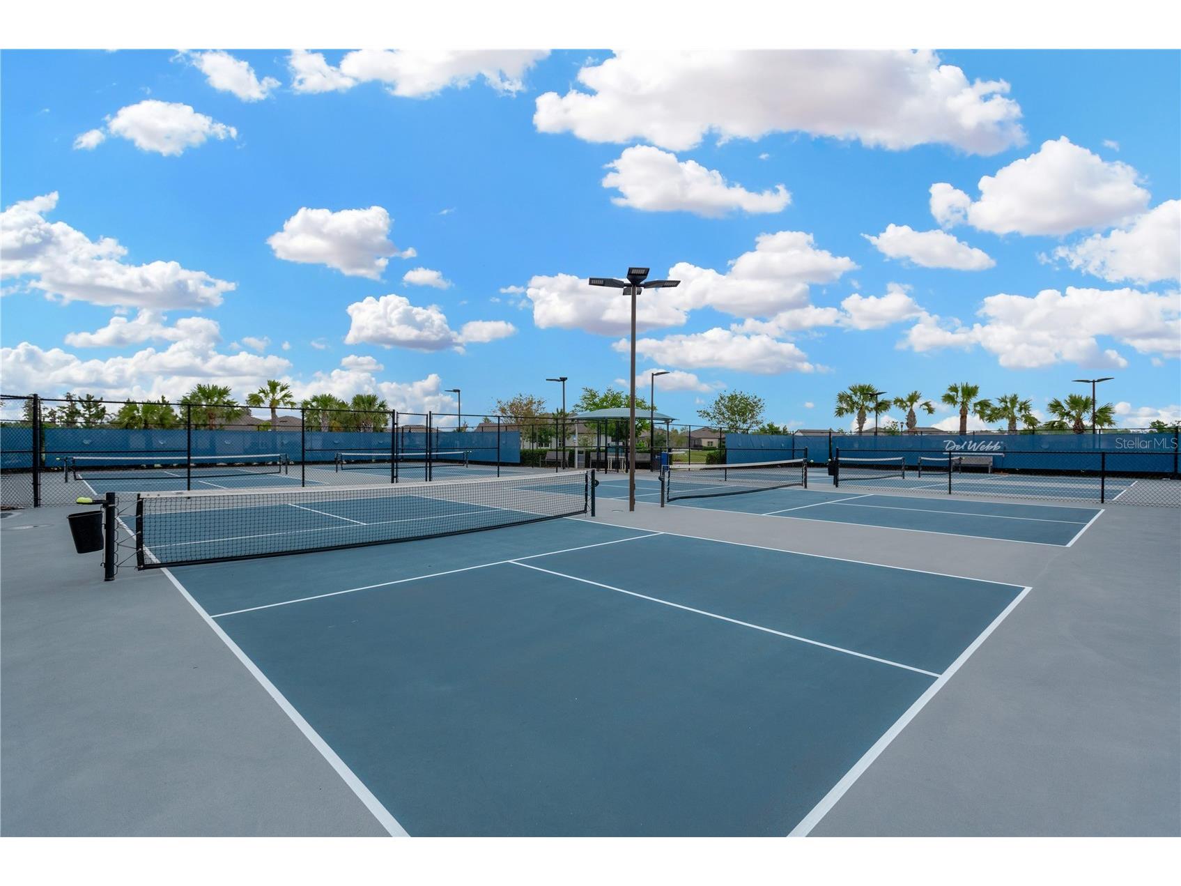 19367 Coastal Shore Terrace Land O Lakes FL 34638 TB8491769 image41