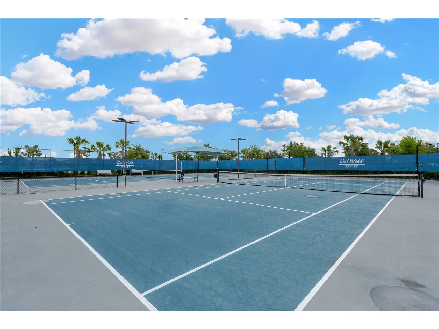 19367 Coastal Shore Terrace Land O Lakes FL 34638 TB8491769 image42
