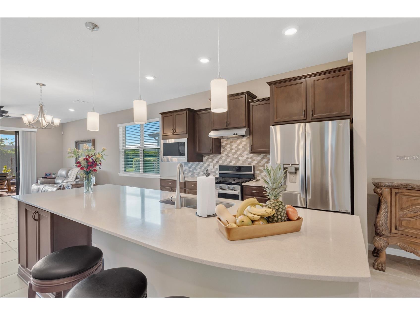 19367 Coastal Shore Terrace Land O Lakes FL 34638 TB8491769 image6