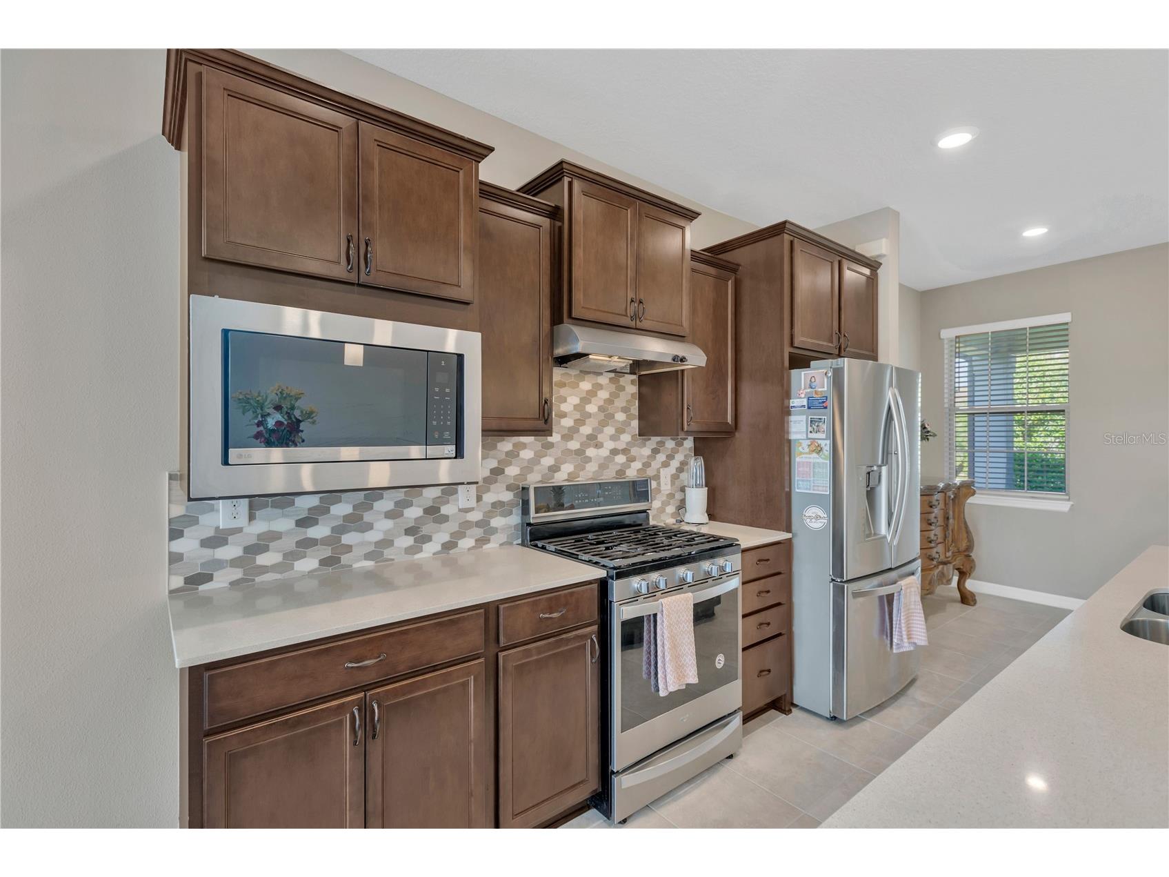 19367 Coastal Shore Terrace Land O Lakes FL 34638 TB8491769 image7
