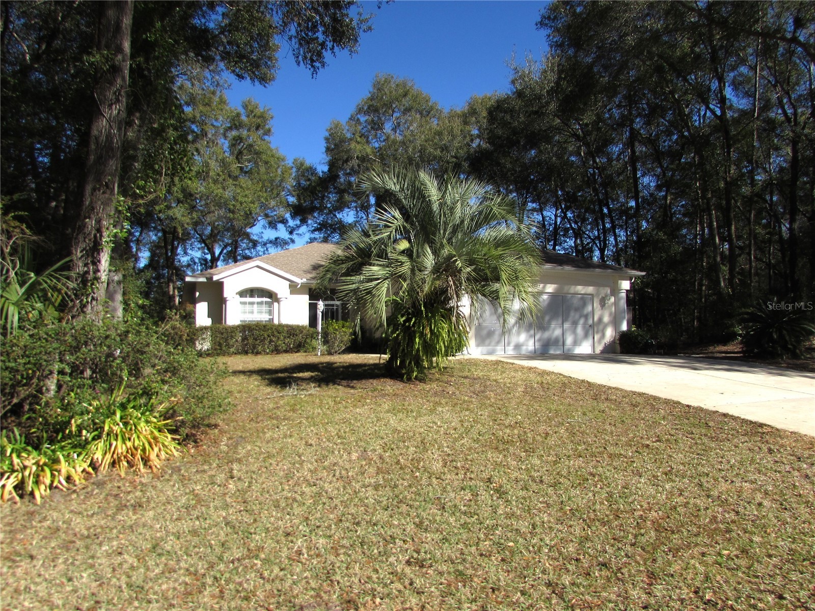 19367 SW 101st Place Road Dunnellon FL 34432 - RAINBOW RIVER OM717433 image1