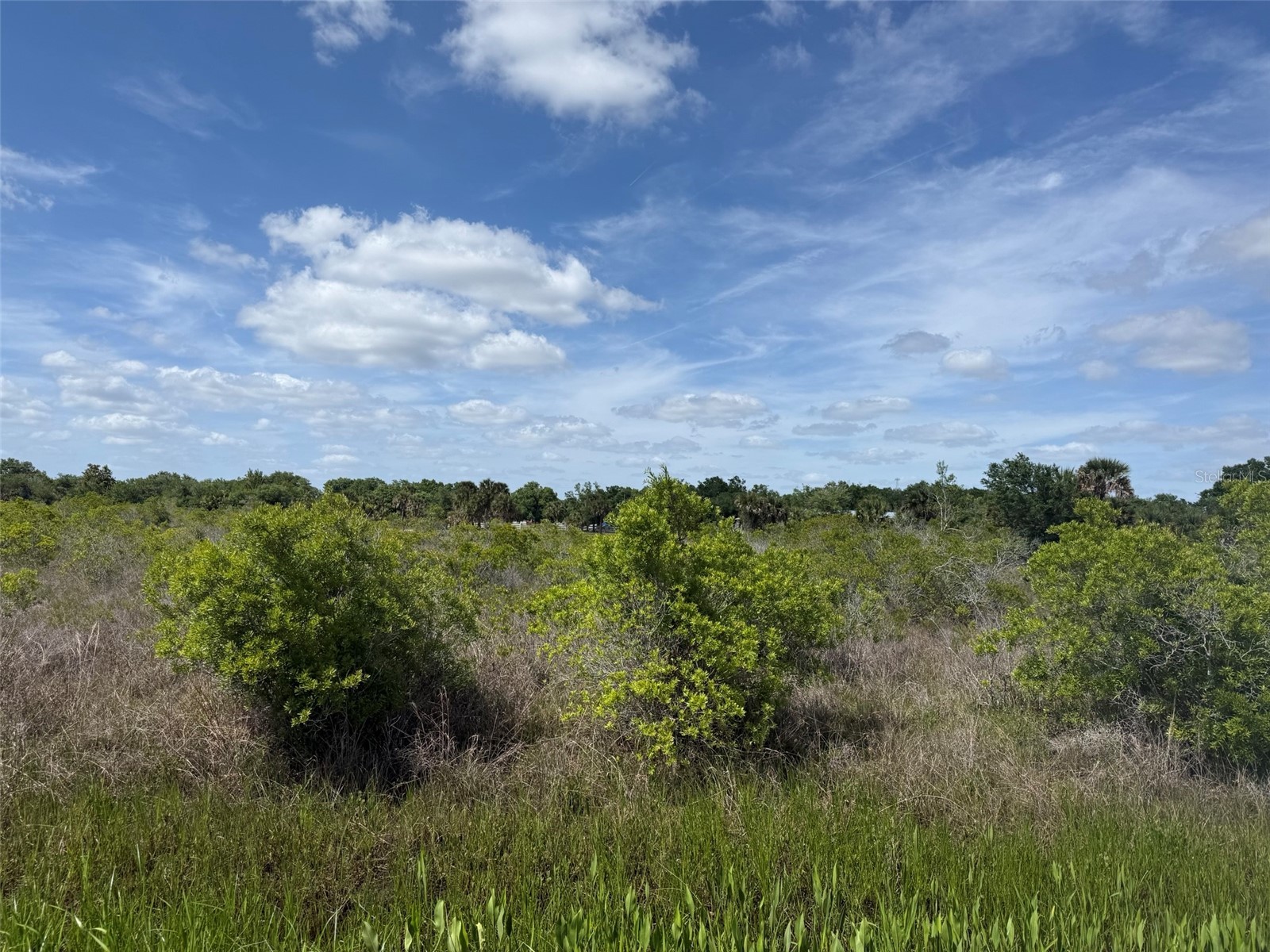19369 NW 300th Street Okeechobee FL 34972 K4903370 image1