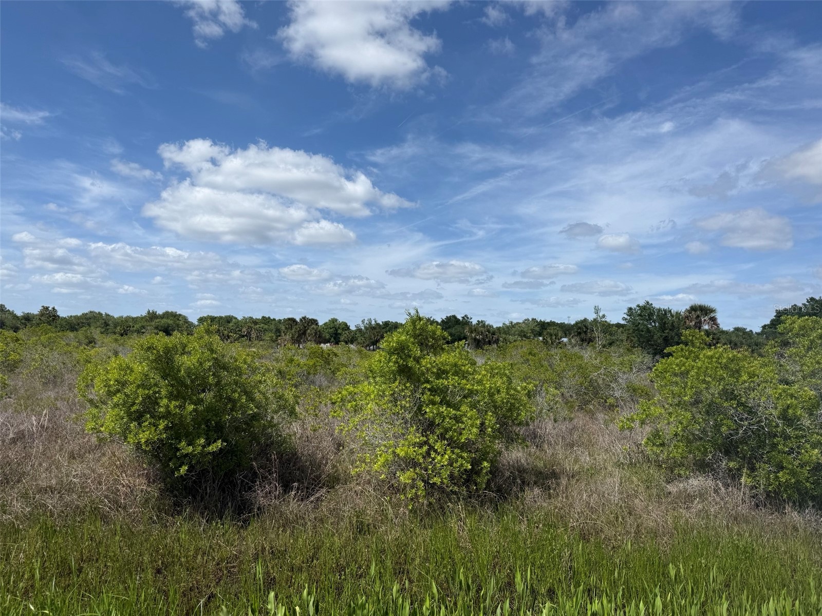 19369 NW 300th Street Okeechobee FL 34972 K4903370 image2