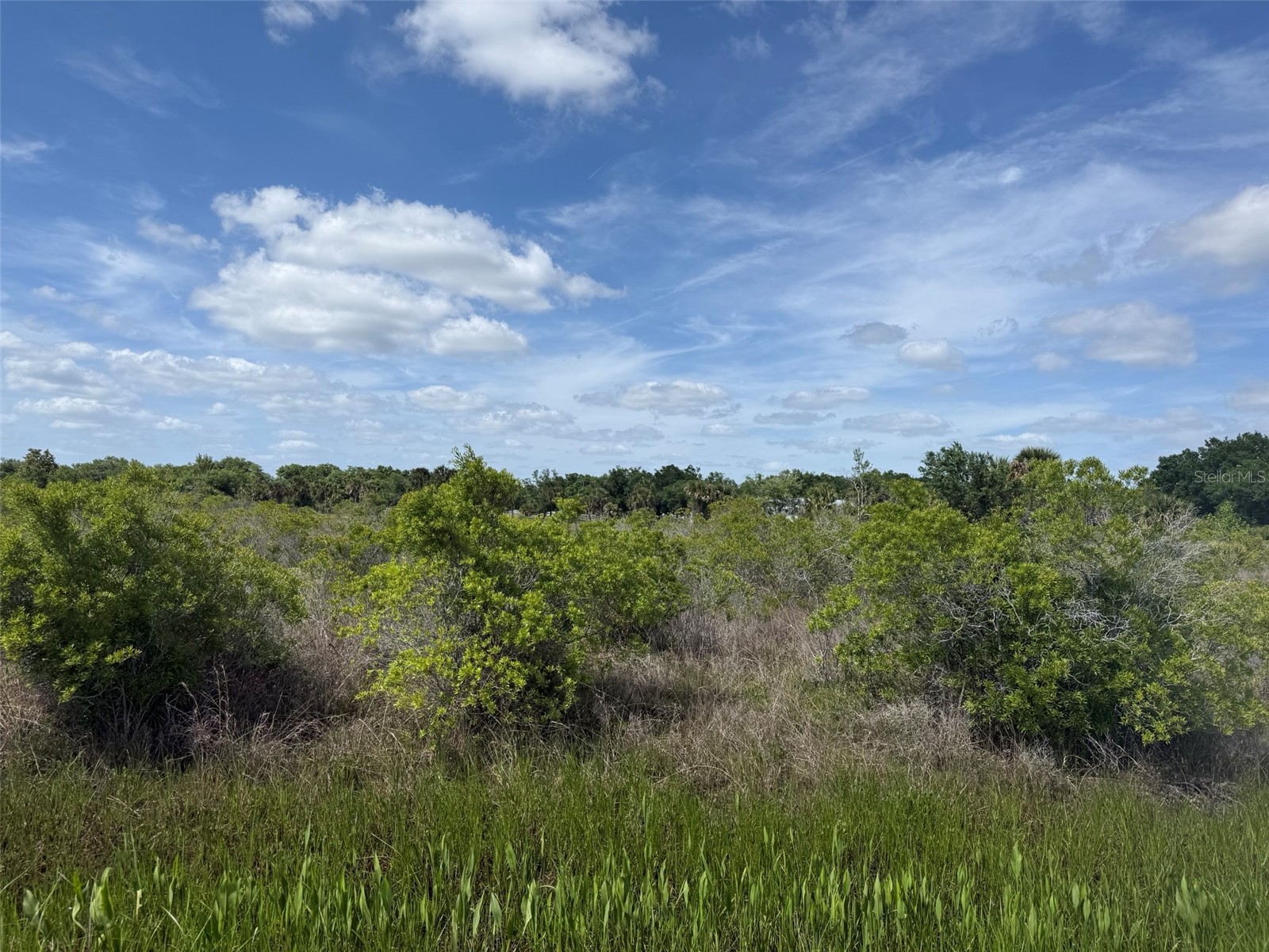 19369 NW 300th Street Okeechobee FL 34972 K4903370 image3