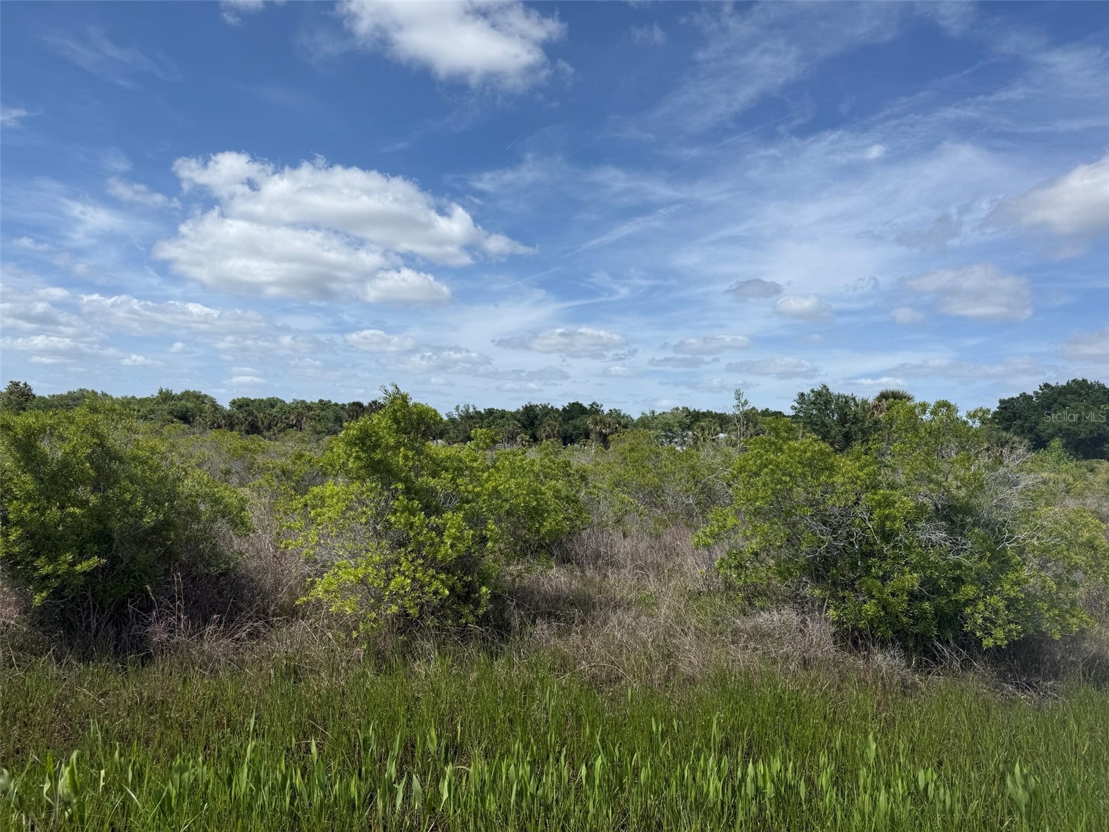 19369 NW 300th Street Okeechobee FL 34972 K4903370 image4