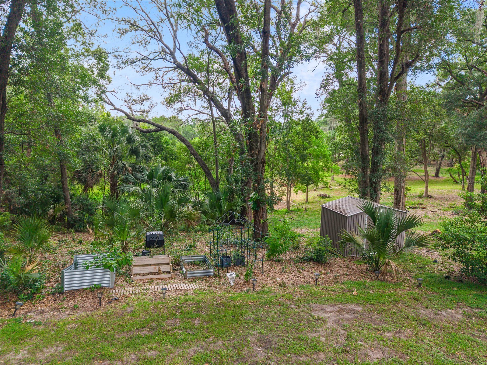 1937 Hidden Pine Lane Apopka FL 32712 O6427341 image3