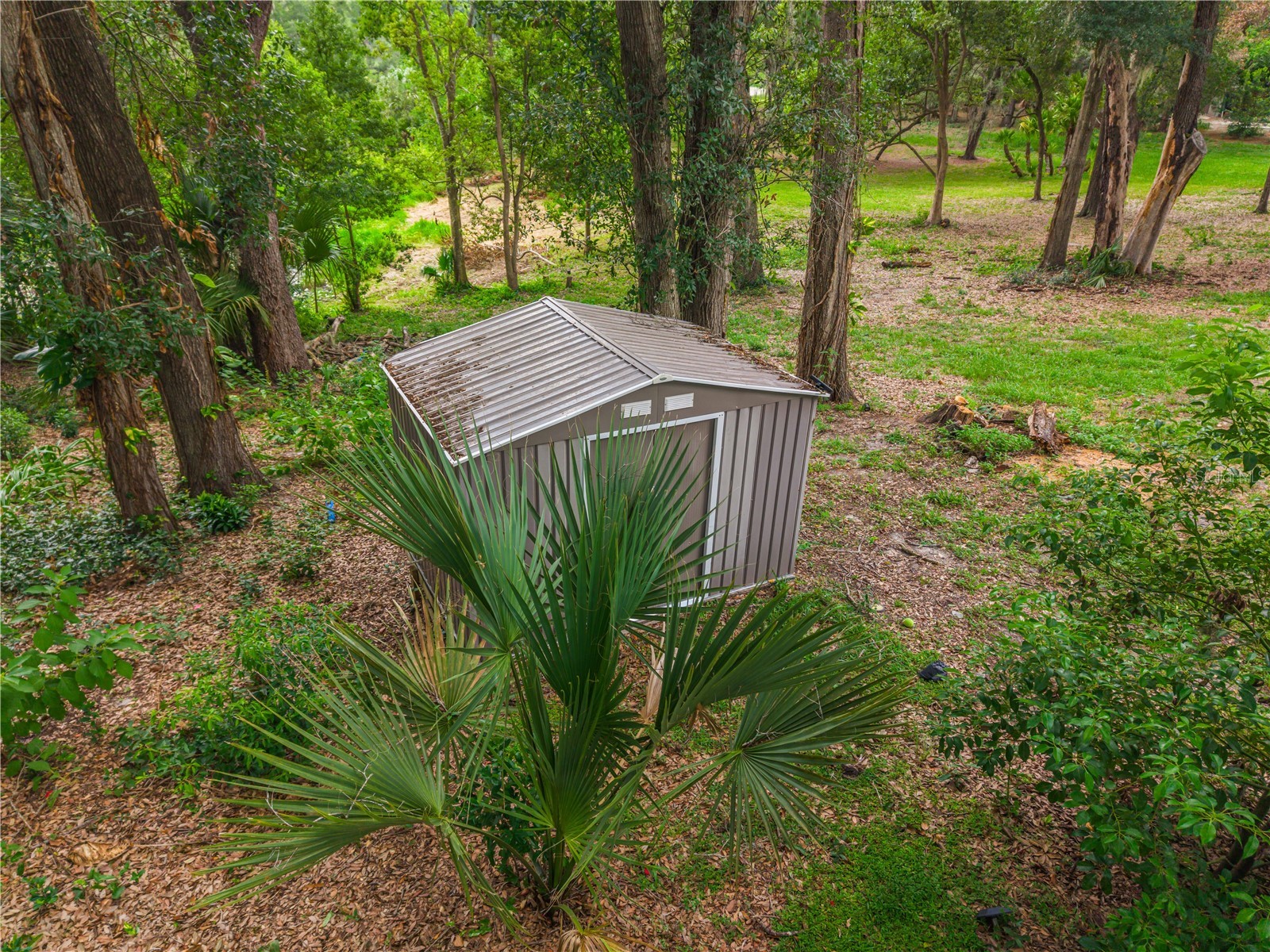 1937 Hidden Pine Lane Apopka FL 32712 O6427341 image45