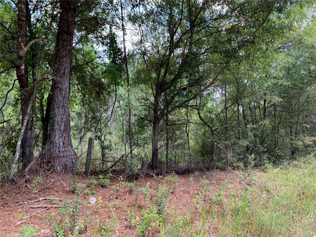 19372 B F Finley Circle Sanderson FL 32087 GC508385 image1