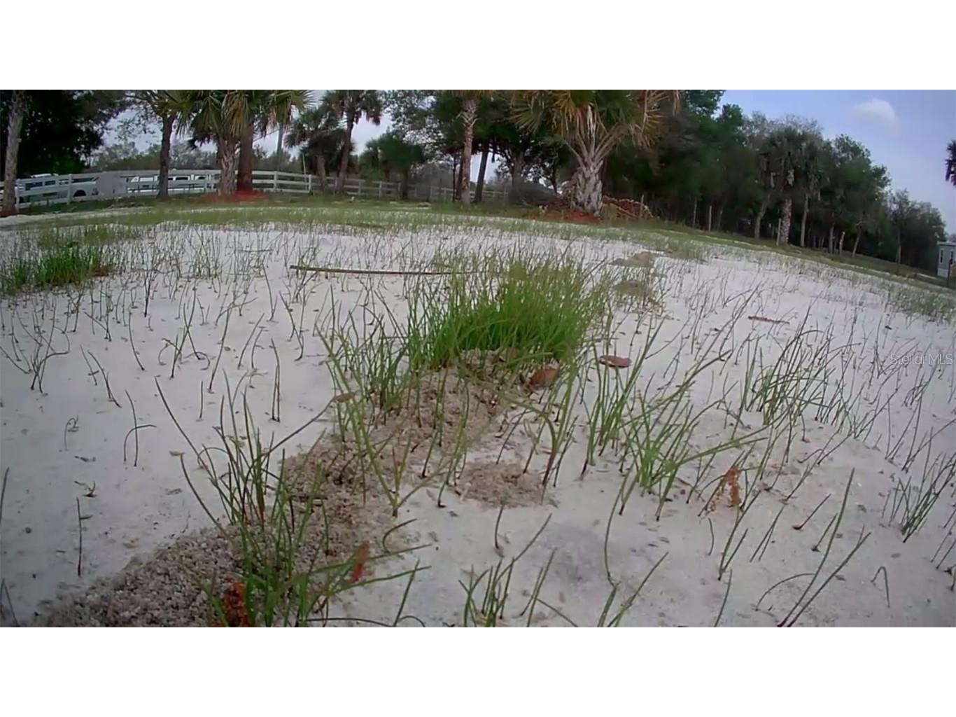 19374 NW 302nd Street Okeechobee FL 34972 OK225505 image12